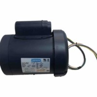 Leeson motor painted blue for custom boat lift systems